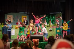 200223 - DNZ - Kinderkappensitzung