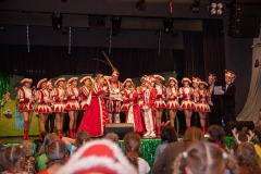 200223 - DNZ - Kinderkappensitzung