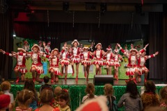 200223 - DNZ - Kinderkappensitzung