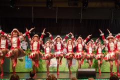 200223 - DNZ - Kinderkappensitzung