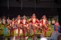 200223 - DNZ - Kinderkappensitzung