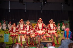 200223 - DNZ - Kinderkappensitzung