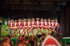 200223 - DNZ - Kinderkappensitzung