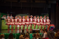 200223 - DNZ - Kinderkappensitzung