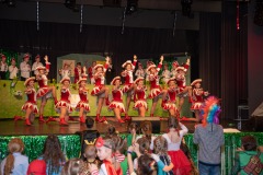 200223 - DNZ - Kinderkappensitzung