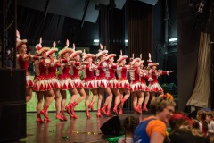 200223 - DNZ - Kinderkappensitzung