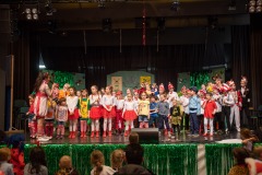 200223 - DNZ - Kinderkappensitzung