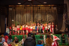 200223 - DNZ - Kinderkappensitzung