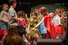 200223 - DNZ - Kinderkappensitzung