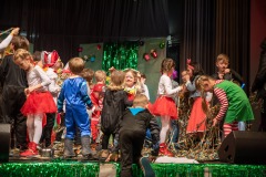 200223 - DNZ - Kinderkappensitzung