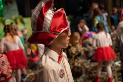 200223 - DNZ - Kinderkappensitzung