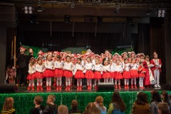 200223 - DNZ - Kinderkappensitzung