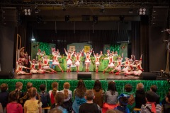 200223 - DNZ - Kinderkappensitzung