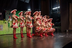 200223 - DNZ - Kinderkappensitzung