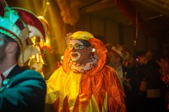 250301 - DNZ - Prunksitzung