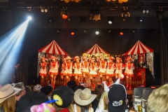 250301 - DNZ - Prunksitzung