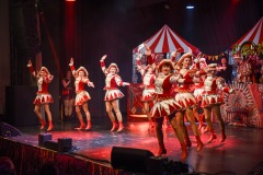 250301 - DNZ - Prunksitzung