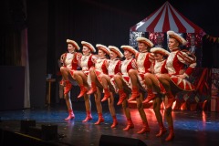 250301 - DNZ - Prunksitzung