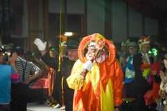 250301 - DNZ - Prunksitzung