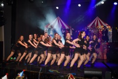 250301 - DNZ - Prunksitzung