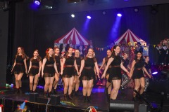 250301 - DNZ - Prunksitzung