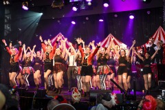 250301 - DNZ - Prunksitzung