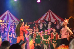 250301 - DNZ - Prunksitzung